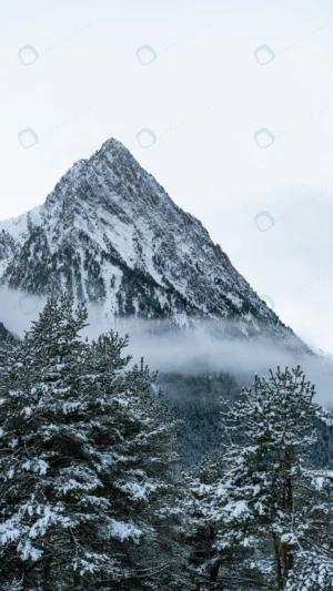 beautiful shot winter fir forest near mountains crc649bb375 size17.67mb 3219x5722 1 - title:Home - اورچین فایل - format: - sku: - keywords: p_id:18