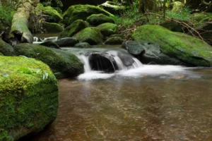 beautiful waterfall landscape waterfall forest crc4b8fdf80 size13.04mb 5472x3648 - title:Home - اورچین فایل - format: - sku: - keywords: p_id:18