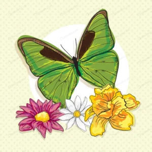 big green butterfly with colorful flowers vintage crcc9f23aca size2.55mb - title:Home - اورچین فایل - format: - sku: - keywords: p_id:18