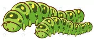 big small caterpillars animal cartoon white backg crc55033503 size2.70mb - title:Home - اورچین فایل - format: - sku: - keywords: p_id:18