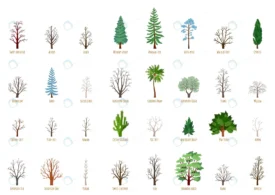 big vector cartoon set with winter trees isolated crc2dedb092 size3.88mb - title:Home Main - اورچین فایل - format: - sku: - keywords: p_id:18