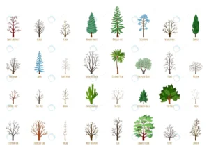 big vector cartoon set with winter trees isolated crc2dedb092 size3.88mb - title:Home - اورچین فایل - format: - sku: - keywords: p_id:18