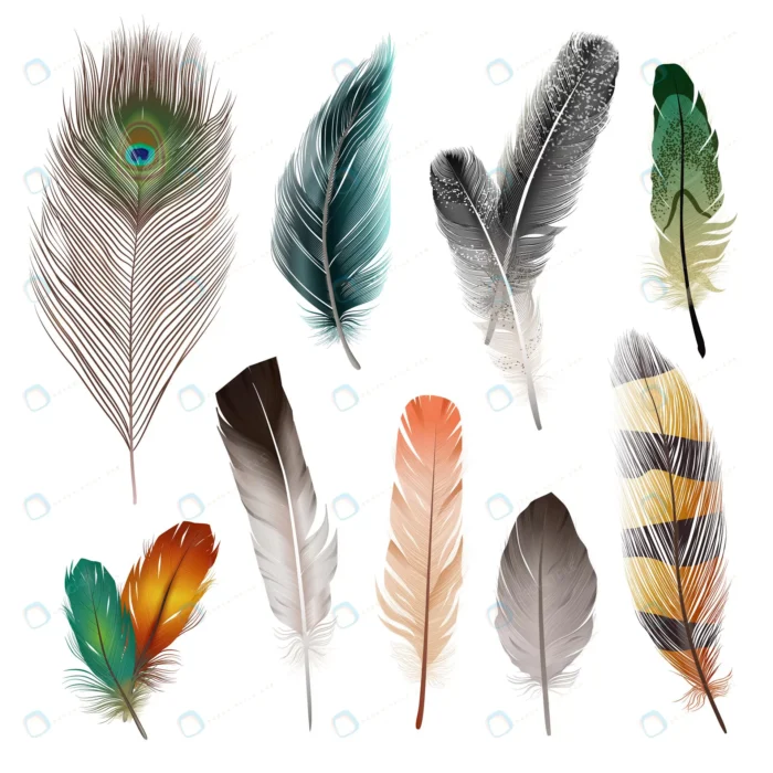 bird realistic feathers set crc30ba705e size12.43mb 1 - title:وکتور نُه پر پرنده در شکل ها و رنگ های مختلف - اورچین فایل - format:EPS - وکتور - sku:crc30ba705e - keywords: p_id:51143