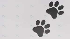 black paw print white background dog cat paw prin crc87e3c666 size1.58mb 4500x2500 - title:Home - اورچین فایل - format: - sku: - keywords: p_id:18