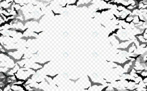 black silhouette bats isolated transparent backgr crc20c08287 size1.27mb 1 - title:Home - اورچین فایل - format: - sku: - keywords: p_id:18