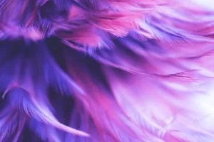 blur bird chickens feather texture background crc7f74c00d size12.52mb - title:Home - اورچین فایل - format: - sku: - keywords: p_id:18