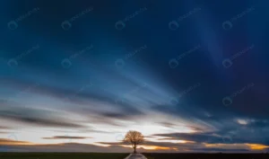 breathtaking view tree middle grassy field with b crc0ba01d71 size7.99mb 7360x4341 - title:Home - اورچین فایل - format: - sku: - keywords: p_id:18