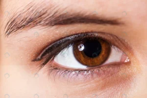 brown eyes look straight ahead safe laser vision c rnd793 frp29109676 - title:Home - اورچین فایل - format: - sku: - keywords: p_id:18