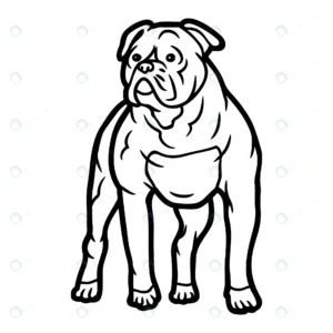 bulldog coloring pages kids rnd527 frp24609363 - title:Home - اورچین فایل - format: - sku: - keywords: p_id:18