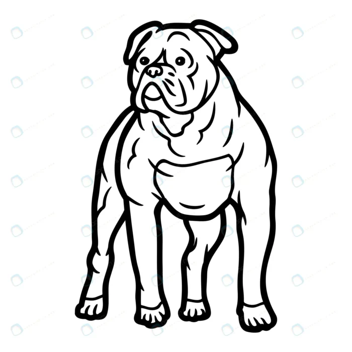 bulldog coloring pages kids rnd527 frp24609363 - title:وکتور سگ بولداق - اورچین فایل - format:EPS - وکتور - sku:frp24609363 - keywords: p_id:74567