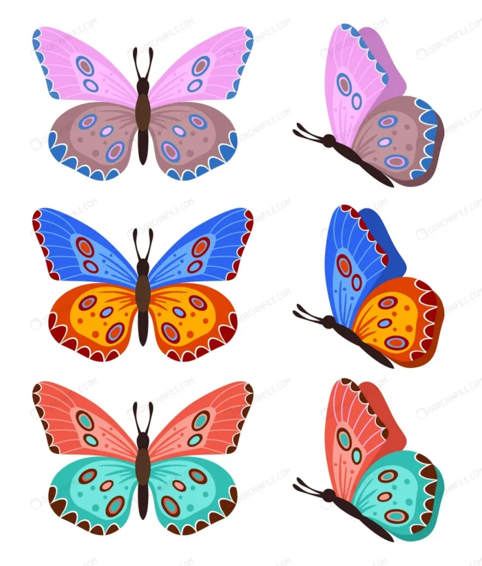 butterflies isolated white crca0a363d6 size0.78mb - title:وکتور پروانه های رنگی - اورچین فایل - format:EPS - وکتور - sku:crca0a363d6 - keywords: p_id:106334