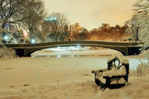 central park winter with frozen lake chair night crc26b3f191 size13.21mb 5094x3400 - title:Home - اورچین فایل - format: - sku: - keywords: p_id:18