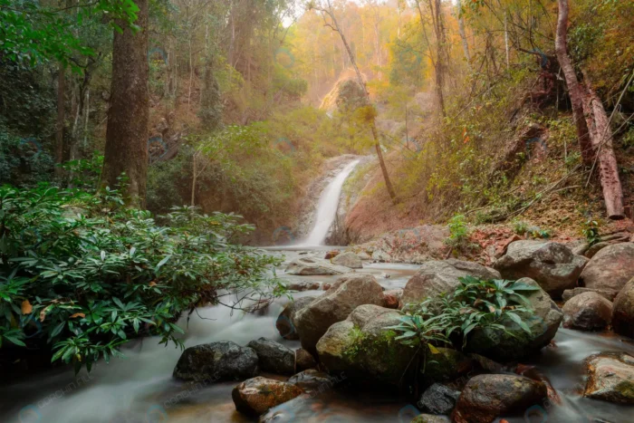 chae son waterfall chae son nation park lampang t crc3444401d - title:تصویر استوک آبشار در دل جنگل - اورچین فایل - format:JPG - استوک - sku:crc3444401d - keywords:تصویر استوک آبشار در دل جنگل, عکس استوک, تصویر استوک رایگان, جنگل, دانلود رایگان, طبیعت, فایل تکی p_id:57607