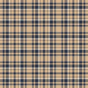 check plaid seamless pattern vector background te crc6e7ddc59 size0.58mb - title:Home - اورچین فایل - format: - sku: - keywords: p_id:18