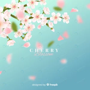 cherry blossom background crc2b10ae16 size28.19mb 1 - title:Home - اورچین فایل - format: - sku: - keywords: p_id:18