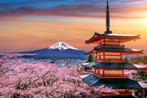 cherry blossoms spring chureito pagoda fuji mount crc5bcf494d size13.64mb 6000x4000 - title:Home - اورچین فایل - format: - sku: - keywords: p_id:18