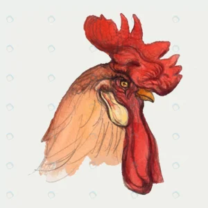 classic rooster hand drawn style remixed from art crc16c2e9f1 size9.45mb - title:Home - اورچین فایل - format: - sku: - keywords: p_id:18