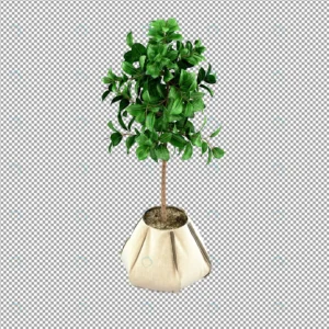 close up flower vase 3d rendering 2 crc9e26e783 size30.48mb - title:Home - اورچین فایل - format: - sku: - keywords: p_id:18