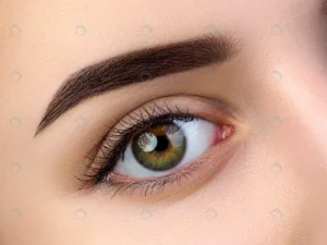 close up view beautiful brown female eye perfect crcdc52f336 size12.12mb 4608x3456 - title:Home - اورچین فایل - format: - sku: - keywords: p_id:18