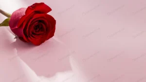 close up view valentine s day concept with roses crc31c22a2d size1.20mb 6485x3648 - title:Home - اورچین فایل - format: - sku: - keywords: p_id:18