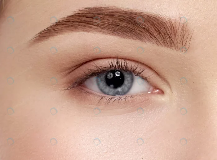 closeup beautiful female blue eyes with long eyel crc7d566b5c - title:کلوزآپ چشم آبی - اورچین فایل - format:JPG - استوک - sku:crc7d566b5c - keywords: p_id:82085