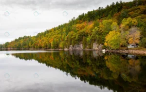 closeup shot lake muskoka ontario canada crcfd620695 size7.01mb 5265x3297 - title:Home - اورچین فایل - format: - sku: - keywords: p_id:18