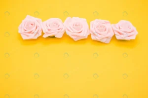 closeup shot row pink roses isolated yellow backg crc9e1df979 size7.92mb 4288x2848 - title:Home - اورچین فایل - format: - sku: - keywords: p_id:18