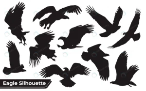 collection bird eagle silhouettes different posit crcc78a1415 size1.42mb - title:Home - اورچین فایل - format: - sku: - keywords: p_id:18