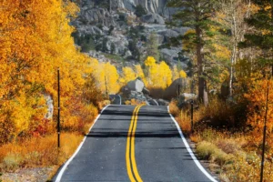 colorful autumn scene countryside road forest rnd879 frp12778443 - title:Home - اورچین فایل - format: - sku: - keywords: p_id:18