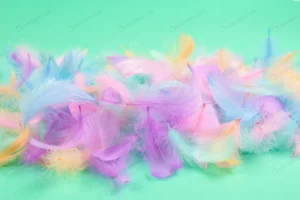 colorful feather background top view crc2bd62c0e size8.93mb 5648x3770 - title:Home - اورچین فایل - format: - sku: - keywords: p_id:18