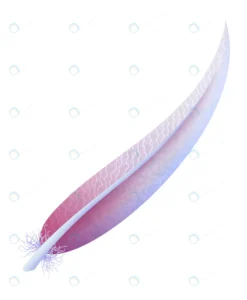 colorful feather curved pastel quill cartoon styl crc5f8b395f size3.33mb 1 - title:Home - اورچین فایل - format: - sku: - keywords: p_id:18