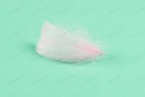 colorful feather mint background crc212547c9 size2.21mb 4355x2907 - title:Home - اورچین فایل - format: - sku: - keywords: p_id:18