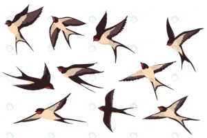 colorful flying swallows flat illustration set crc5c45f406 size1.16mb - title:Home - اورچین فایل - format: - sku: - keywords: p_id:18