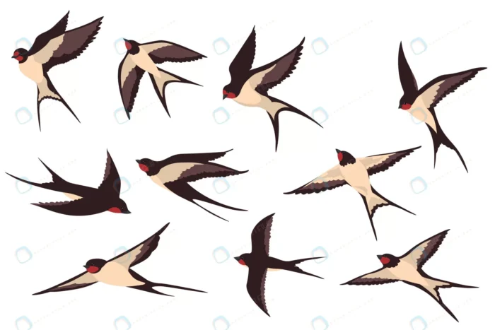 colorful flying swallows flat illustration set crc5c45f406 size1.16mb - title:وکتور پرستو در حال پرواز - اورچین فایل - format:EPS - وکتور - sku:crc5c45f406 - keywords: p_id:86857