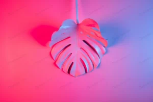 colorful tropical summer minimal concept with sin crc7a461736 size12.06mb 5545x3697 - title:Home - اورچین فایل - format: - sku: - keywords: p_id:18