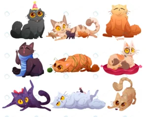 cute cats fluffy pets different poses crc3e972d4c size2.98mb - title:Home - اورچین فایل - format: - sku: - keywords: p_id:18