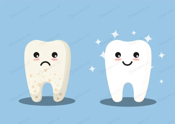 cute clean dirty teeth illustration crc5056221f size0.99mb - title:وکتور کارتونی دندان سالم و خراب - اورچین فایل - format:EPS - وکتور - sku:crc5056221f - keywords: p_id:92029