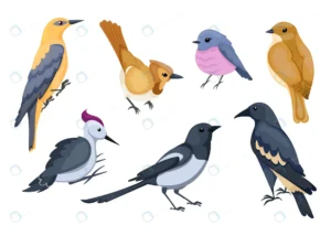 cute small cartoon birds illustration crcbdca8949 size1.42mb - title:Home - اورچین فایل - format: - sku: - keywords: p_id:18