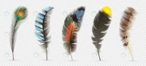 detailed colorful feathers set crc40e56109 size7.17mb 1 - title:Home - اورچین فایل - format: - sku: - keywords: p_id:18