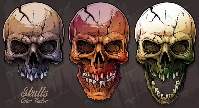 detailed graphic colorful human skulls set rnd349 frp5005658 - title:مجموعه وکتور جمجمه انسان - اورچین فایل - format:EPS - وکتور - sku:frp5005658 - keywords: p_id:74903