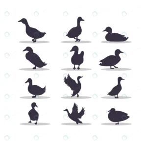 duck silhouette vector illustration design crc40b03fcd size0.81mb - title:Home - اورچین فایل - format: - sku: - keywords: p_id:18