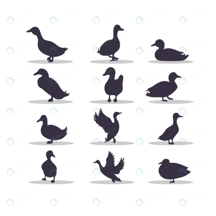 duck silhouette vector illustration design crc40b03fcd size0.81mb - title:سیلوئت اردک - اورچین فایل - format:EPS - وکتور - sku:crc40b03fcd - keywords: p_id:86873