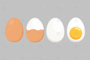 egg vector isolated white background set boiled e crcd227b351 size1.40mb - title:Home - اورچین فایل - format: - sku: - keywords: p_id:18