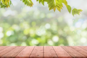 empty wood table top blurred view from green tree rnd650 frp3946040 - title:Home - اورچین فایل - format: - sku: - keywords: p_id:18