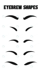 eyebrows shapes set eyebrow shapes various types e rnd229 frp31015190 - title:Home - اورچین فایل - format: - sku: - keywords: p_id:18