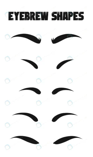 eyebrows shapes set eyebrow shapes various types e rnd229 frp31015190 - title:Home - اورچین فایل - format: - sku: - keywords: p_id:18