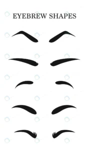 eyebrows shapes set various types eyebrows makeup rnd849 frp31015192 - title:Home - اورچین فایل - format: - sku: - keywords: p_id:18