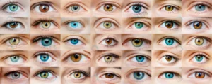 eyes collage crc072793eb size9.87mb 5997x2408 1 - title:Home - اورچین فایل - format: - sku: - keywords: p_id:18