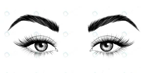 eyes with eyebrows long eyelashes rnd685 frp20762732 - title:Home - اورچین فایل - format: - sku: - keywords: p_id:18