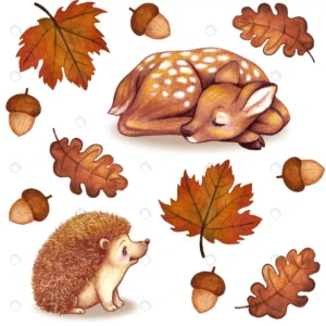 fall watercolor leaves fawn hedgehog acorn collect rnd355 frp5476887 - title:Home - اورچین فایل - format: - sku: - keywords: p_id:18